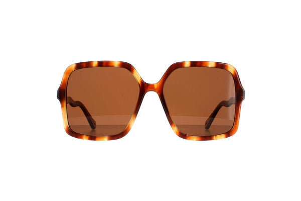 Chioe CH0086S Havana-Havana-Brown Sonnebrille